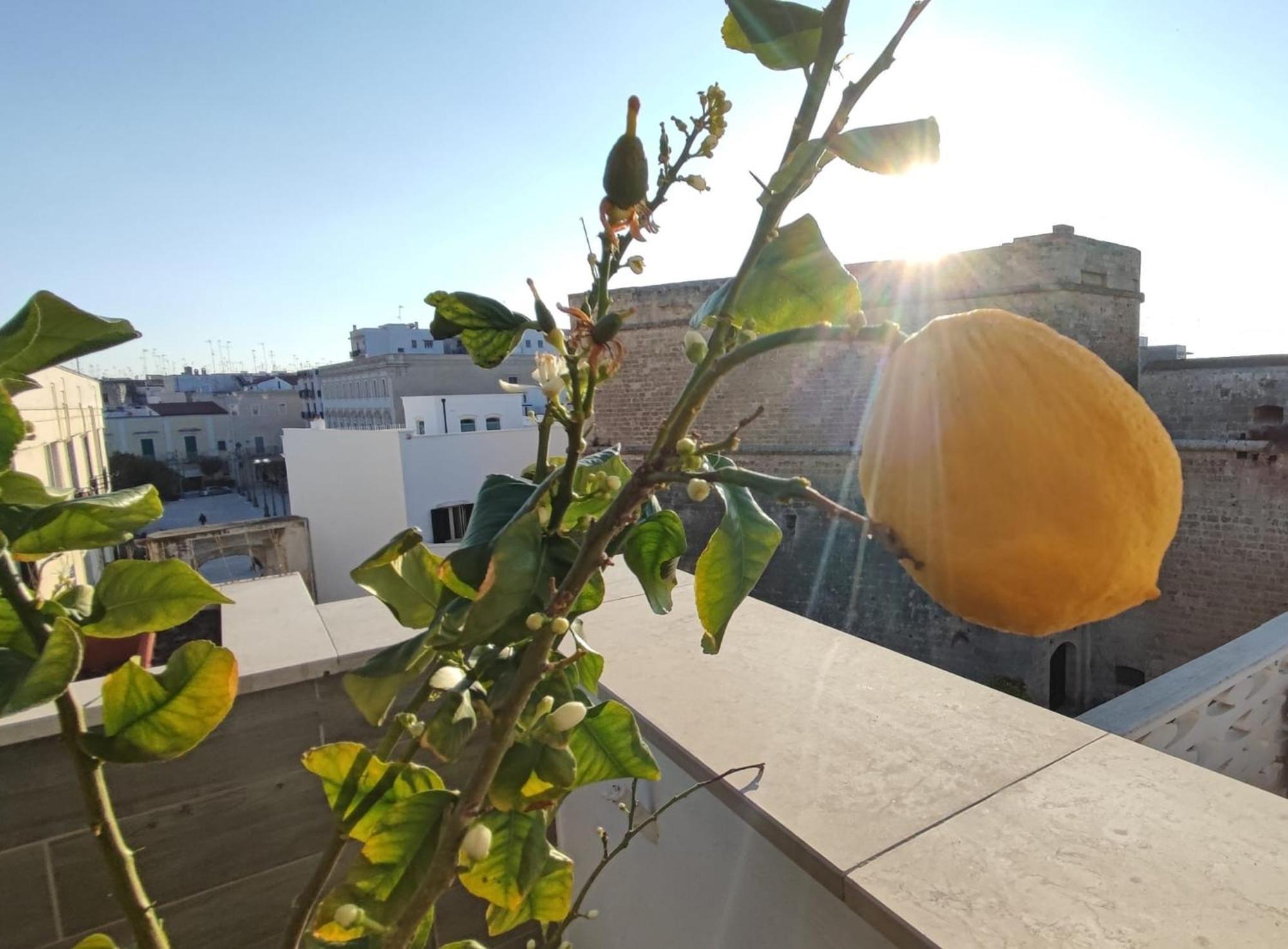 Locanda Degli Angioini Locazione Turistica Ξενοδοχείο Mola di Bari Εξωτερικό φωτογραφία